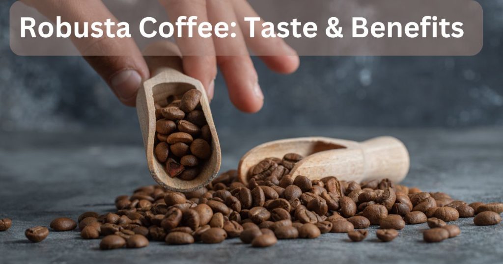 Robusta Coffee taste and benefits 